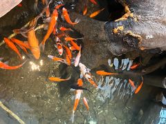 -老李家土菜馆·安吉地标美食