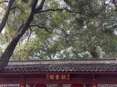 -秋霞圃