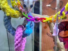 -三旗百汇商品城