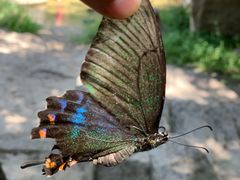 -碓臼峪自然风景区