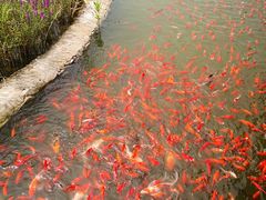 -西海子公园