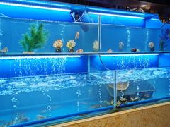 水产区-芭菲盛宴·环球美食(北城国际店)