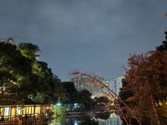 -荔湾湖公园