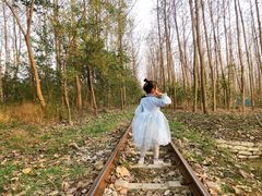 -合肥滨湖国家森林公园