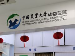 -中国农业大学动物医院