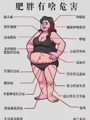 -香薇妮丝·定制减肥·身材管理