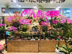 -卜蜂莲花(杨高南路店)
