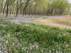 -东郊湿地公园