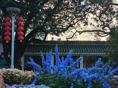 -荔湾湖公园