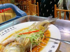 -百年银屏蚝烙·潮汕菜·非遗(乐山店)