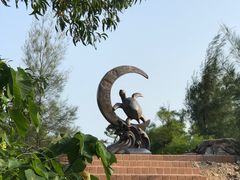 -广东惠东海龟国家级自然保护区