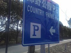 -广富林郊野公园-P5停车场