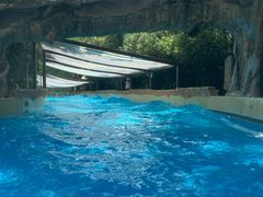 -上海玛雅海滩水公园