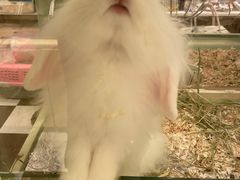 -龙猫仔乐园(惠福东路店)