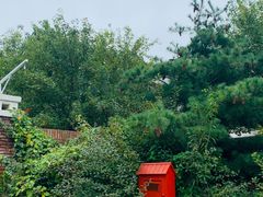 -大连罗马假日酒店温泉