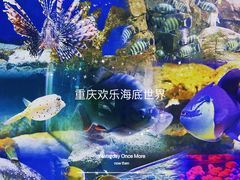 -重庆欢乐海底世界
