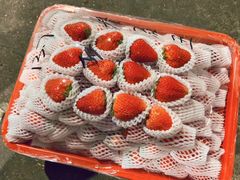 草莓-菜园坝水果市场