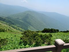 -凤凰山国家森林公园