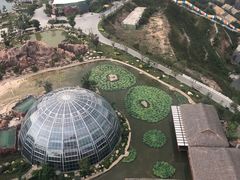 -芽庄珍珠岛游乐园
