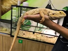 -藦茜花园宠物主题亲子互动体验馆(国顺东路店)