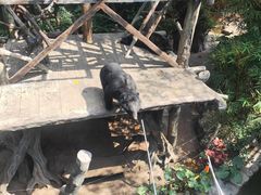 -长鹿旅游休博园