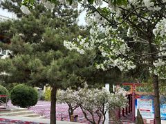 -东关清真大寺
