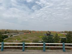 -合肥滨湖国家森林公园