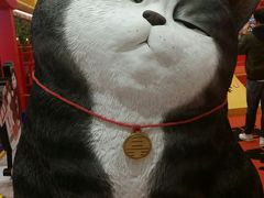 -Dior(海信广场店)