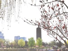 -西海子公园
