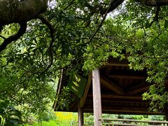 -宁波市保国寺古建筑博物馆