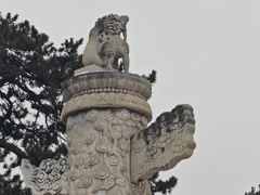 -清西陵