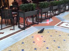 -埃马努埃莱二世拱廊