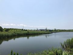 -上海崇明金茂凯悦酒店