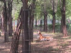 -秦皇岛野生动物园