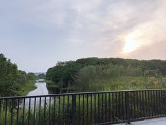 -上海国际音乐村