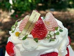 -卷心卷意·轻甜蛋糕(新光天地店)