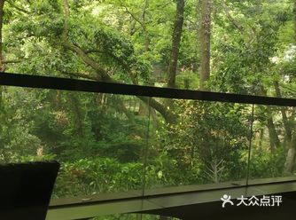 沁人心脾的空气，踏青时刻