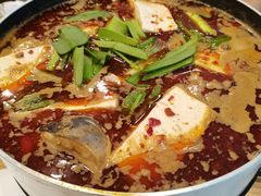 酸汤鱼火锅-贵凤凰贵州米粉(五道口店)