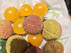 -季季山·云南野生菌火锅(上海首店)