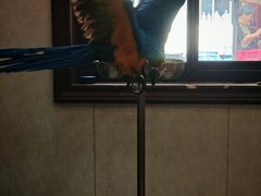 -观桥阁(锦溪店)