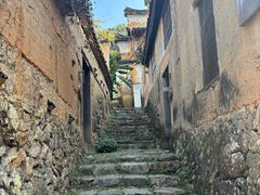 -杨家堂村