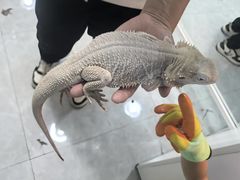 -上海昆虫博物馆