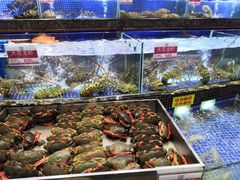 水产区-欢乐海岸美食联盟
