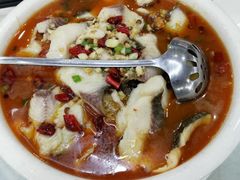 -渔鸽皇酒楼(鸿大广场店)