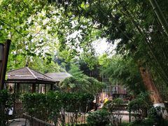 -春晖园度假酒店温泉