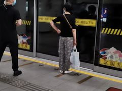-东方体育中心(地铁站)