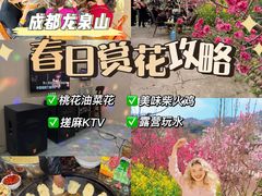 -桃源山庄·水蜜桃采摘·柴火鸡·烧烤团建(龙泉山店)