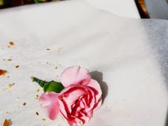 -星巴克(成都凯德天府店)