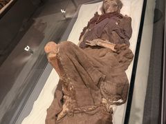 -巴音郭楞蒙古自治州博物馆
