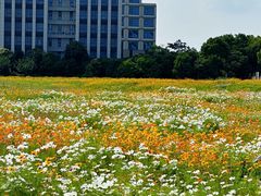 -东钱湖旅游度假区